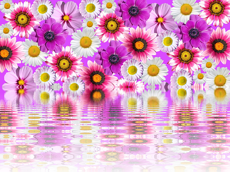 A Group Of Flowers On A Purple Background