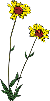 A Yellow Flower With Green Leaves