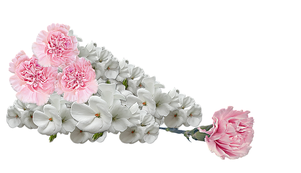 Flowers Png 960 X 554