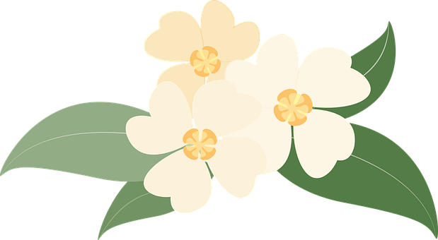 Flowers Png 619 X 340