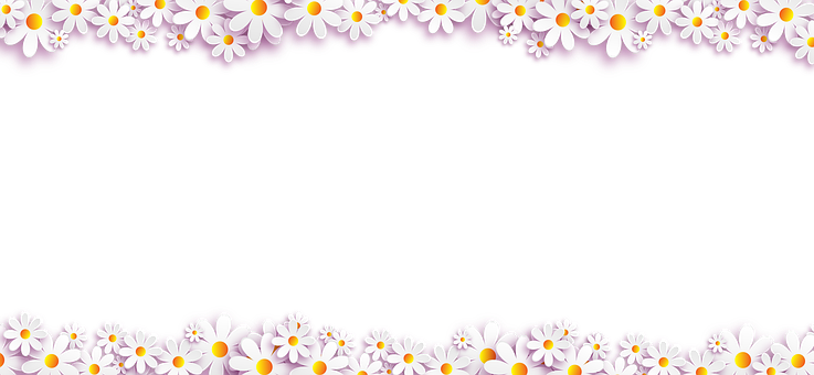 A Black Background With White Flowers
