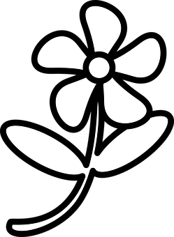 A White Flower With Leaves