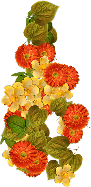 Flowers Png 350 X 720