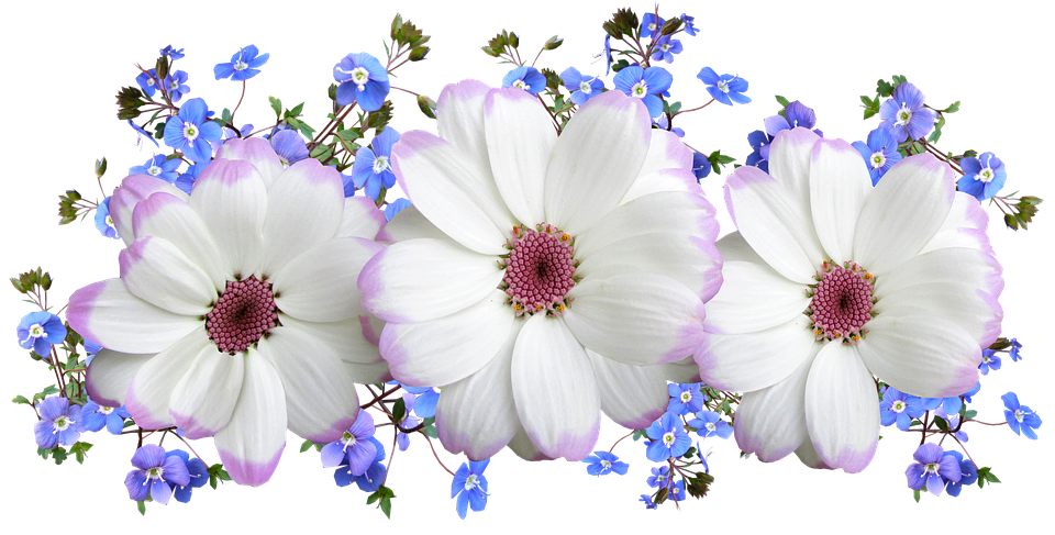Flowers Png 960 X 487