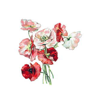 Flowers Png 340 X 340