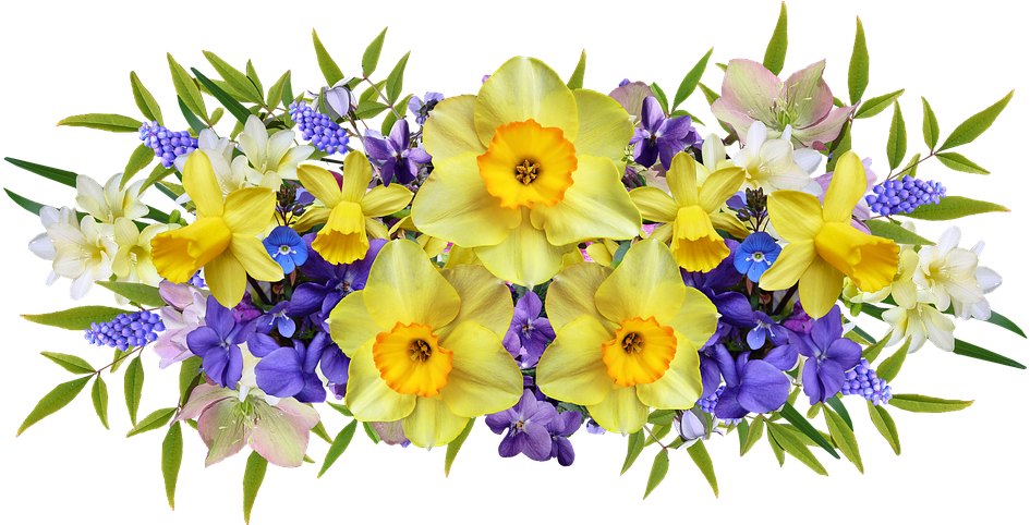 A Group Of Yellow And Purple Flowers
