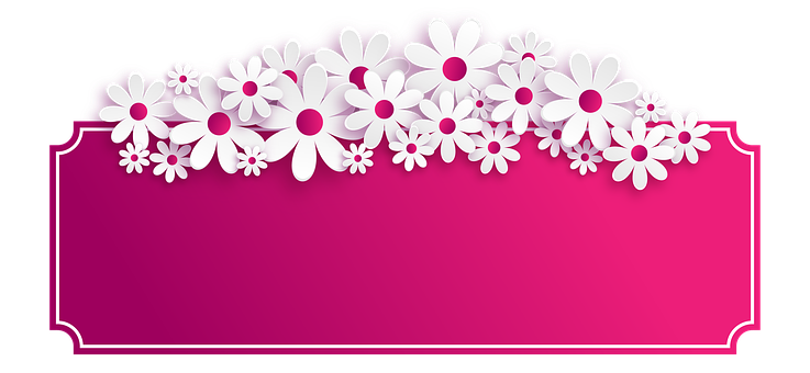 A Pink And White Flower Border