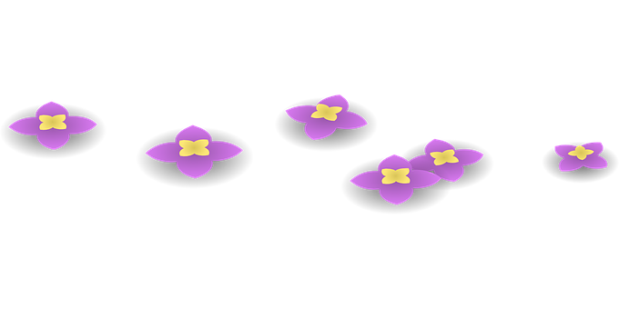 Purple Flowers On A Black Background