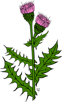 A Flower With Leaves On A Stem