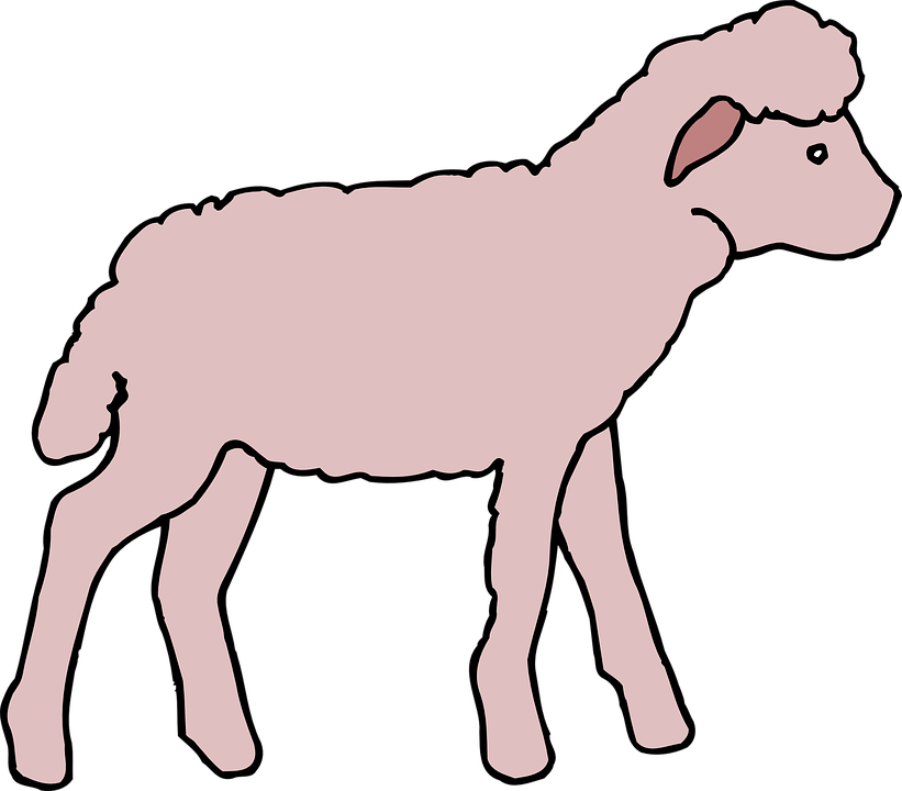 A Pink Sheep With Black Background