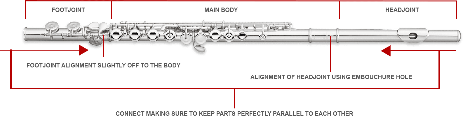 Flute Png 1586 X 399