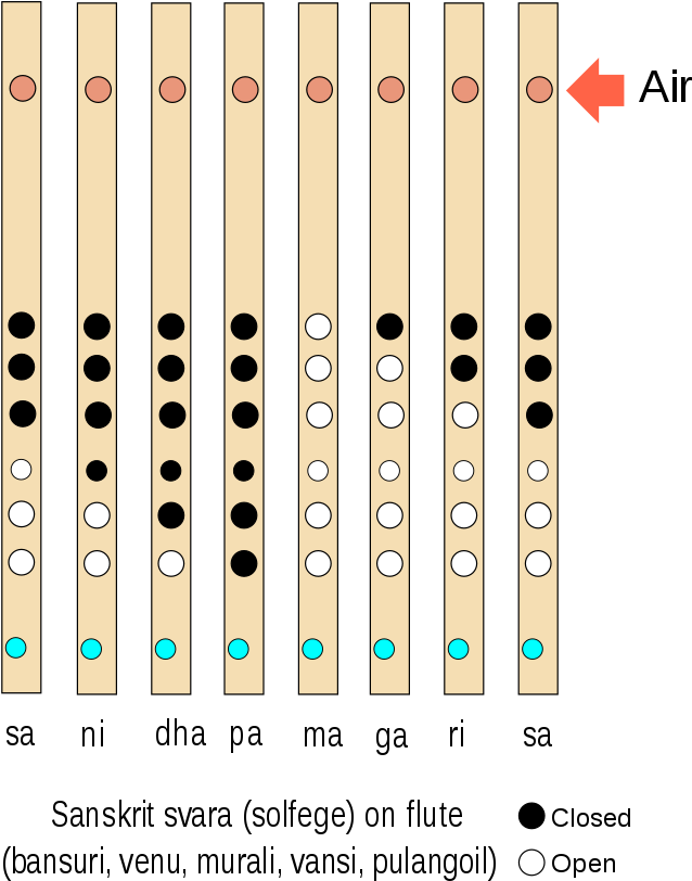 Flute Png 638 X 812