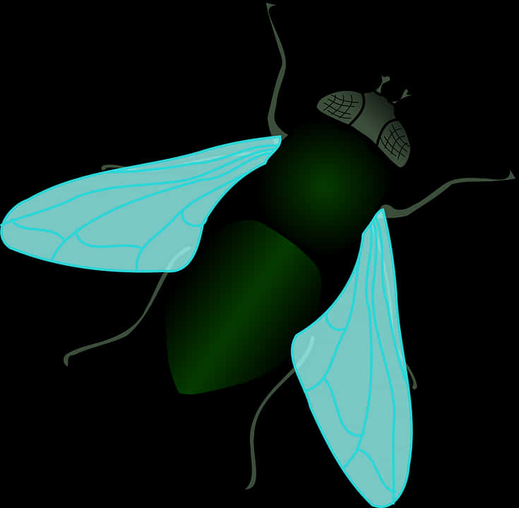 Fly, Bug, Insect - House Fly Clipart, Hd Png Download