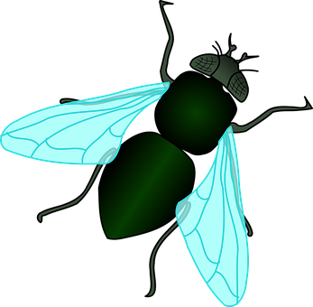 A Green And Blue Fly