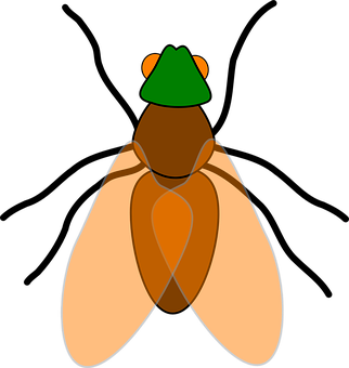 Fly Png 322 X 340