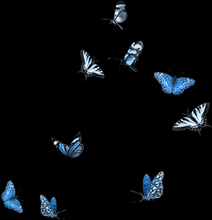 A Group Of Butterflies Flying