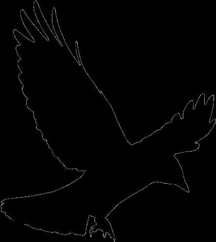 Flying Crow Png, Transparent Flying Crow Image - Crow Png, Png Download