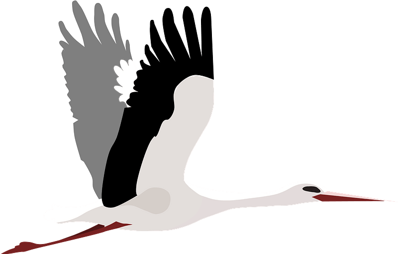 A White Bird With A Bird On Its Back