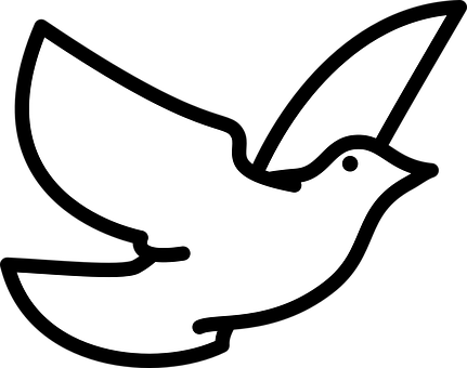 A White Dove With Wings