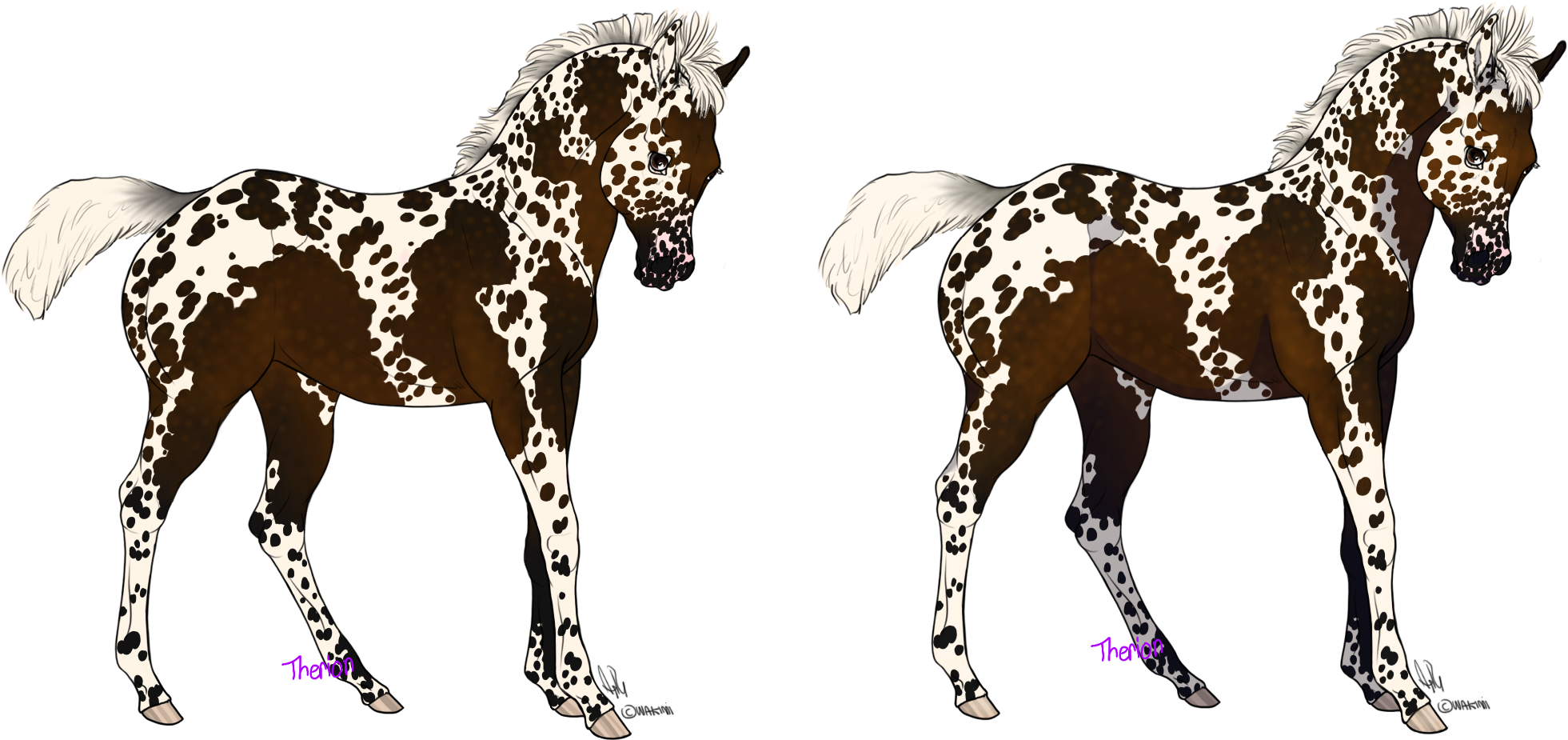 A Horse With A White And Brown Spotted Mane