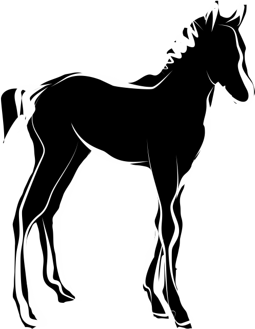 A Black And White Drawing Of A Horse