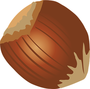 A Close Up Of A Nut