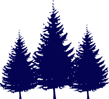 A Group Of Blue Trees
