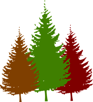 A Group Of Trees In Different Colors