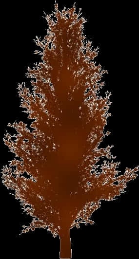 A Brown Tree With Black Background