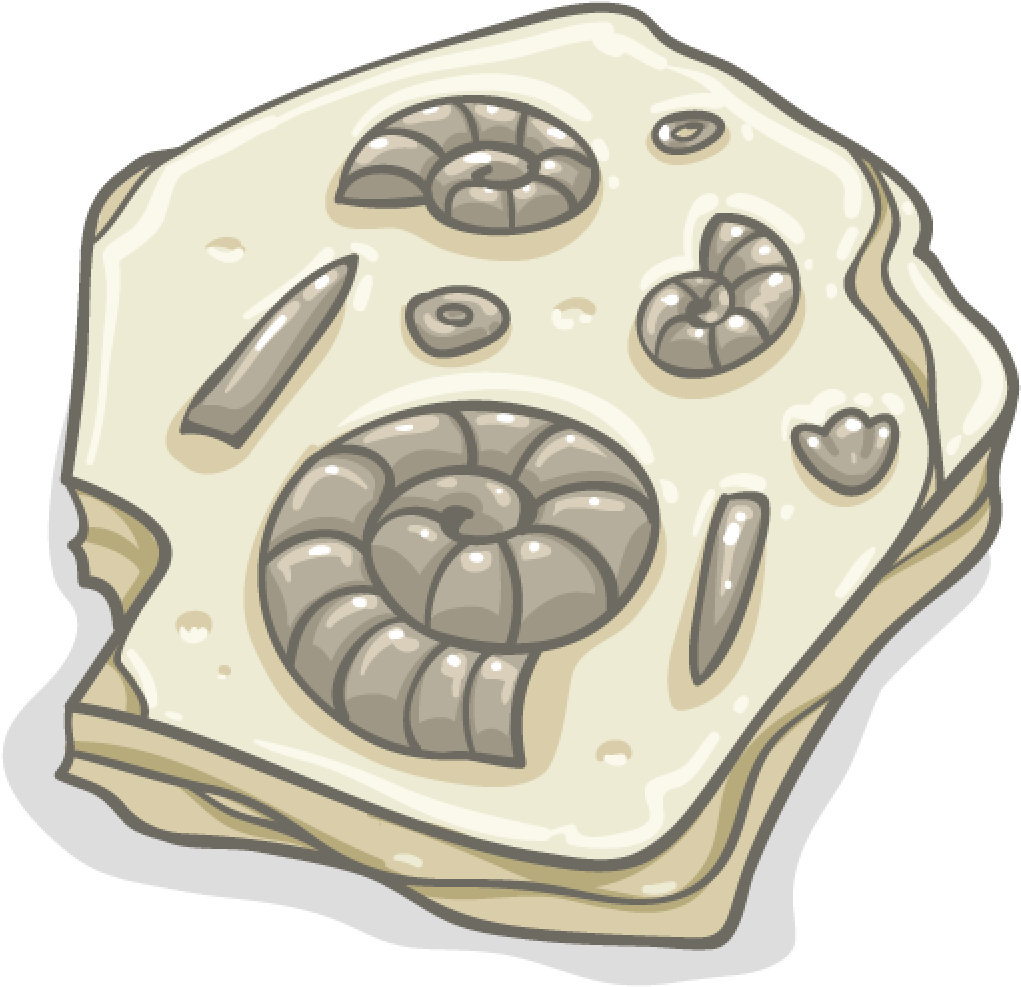 Fossil Png 1021 X 987