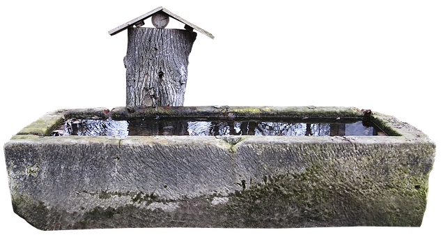 A Water Fountain With A Tree Stump