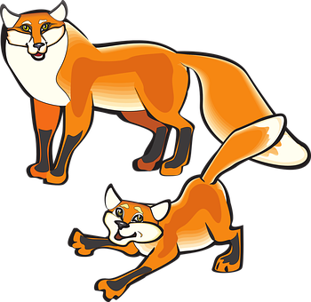 A Couple Of Orange Foxes