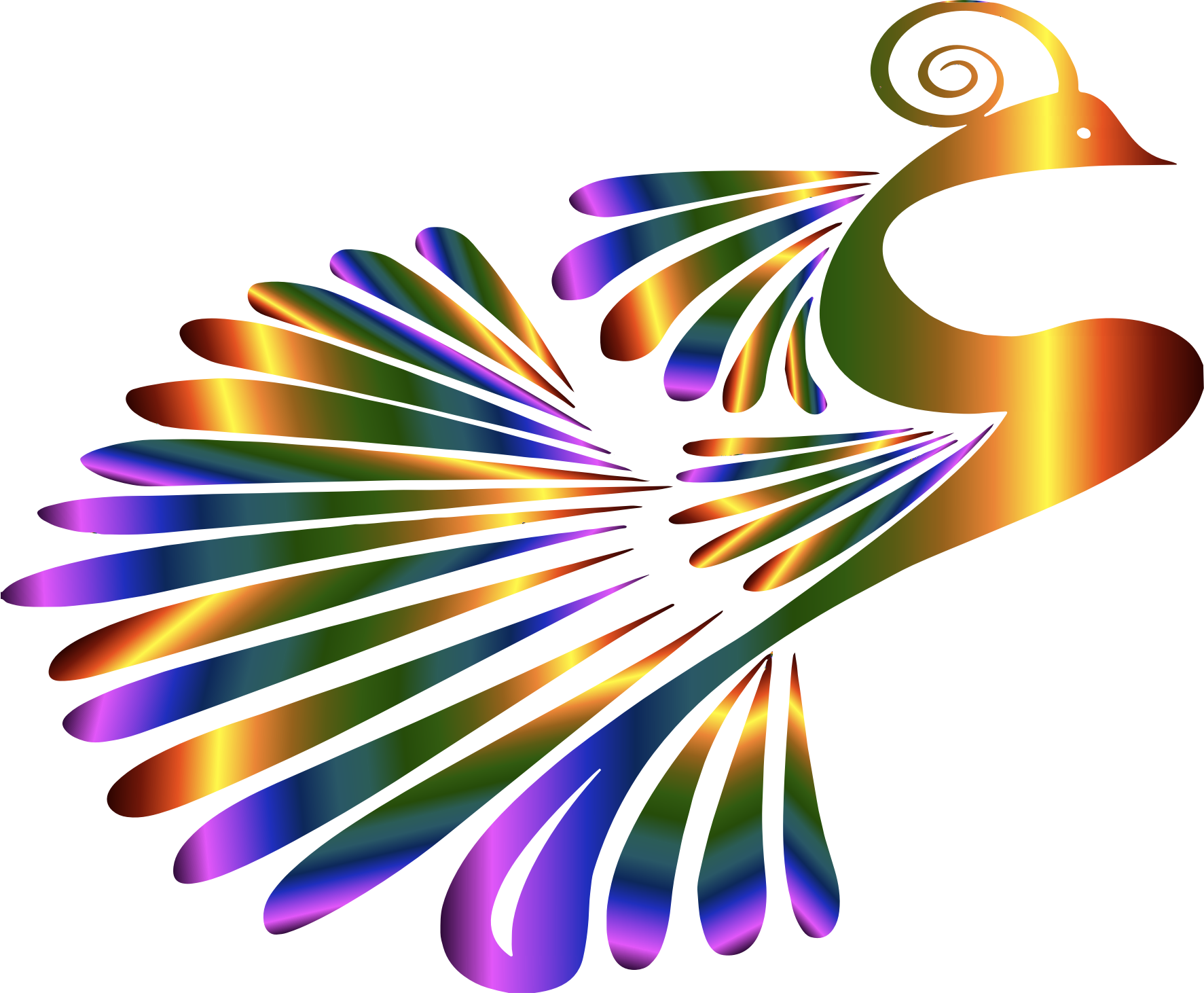 A Colorful Bird With A Black Background