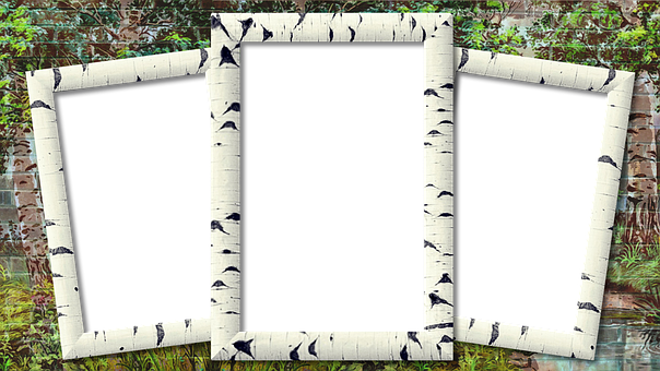A Group Of Frames With Black Frames On Grass
