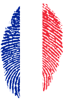 A Fingerprint With A Flag