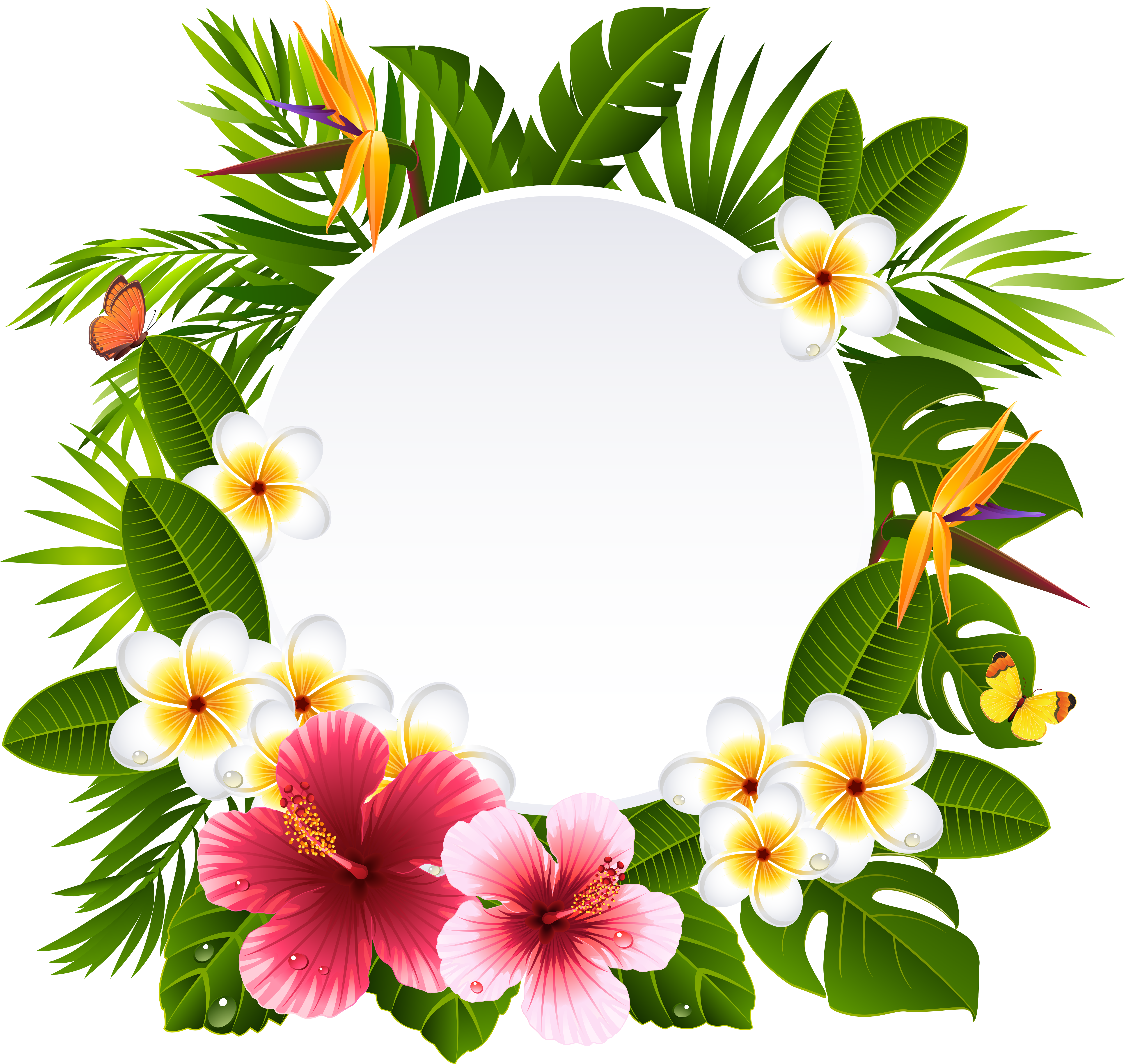A White Circle With Flowers And Leaves Around It