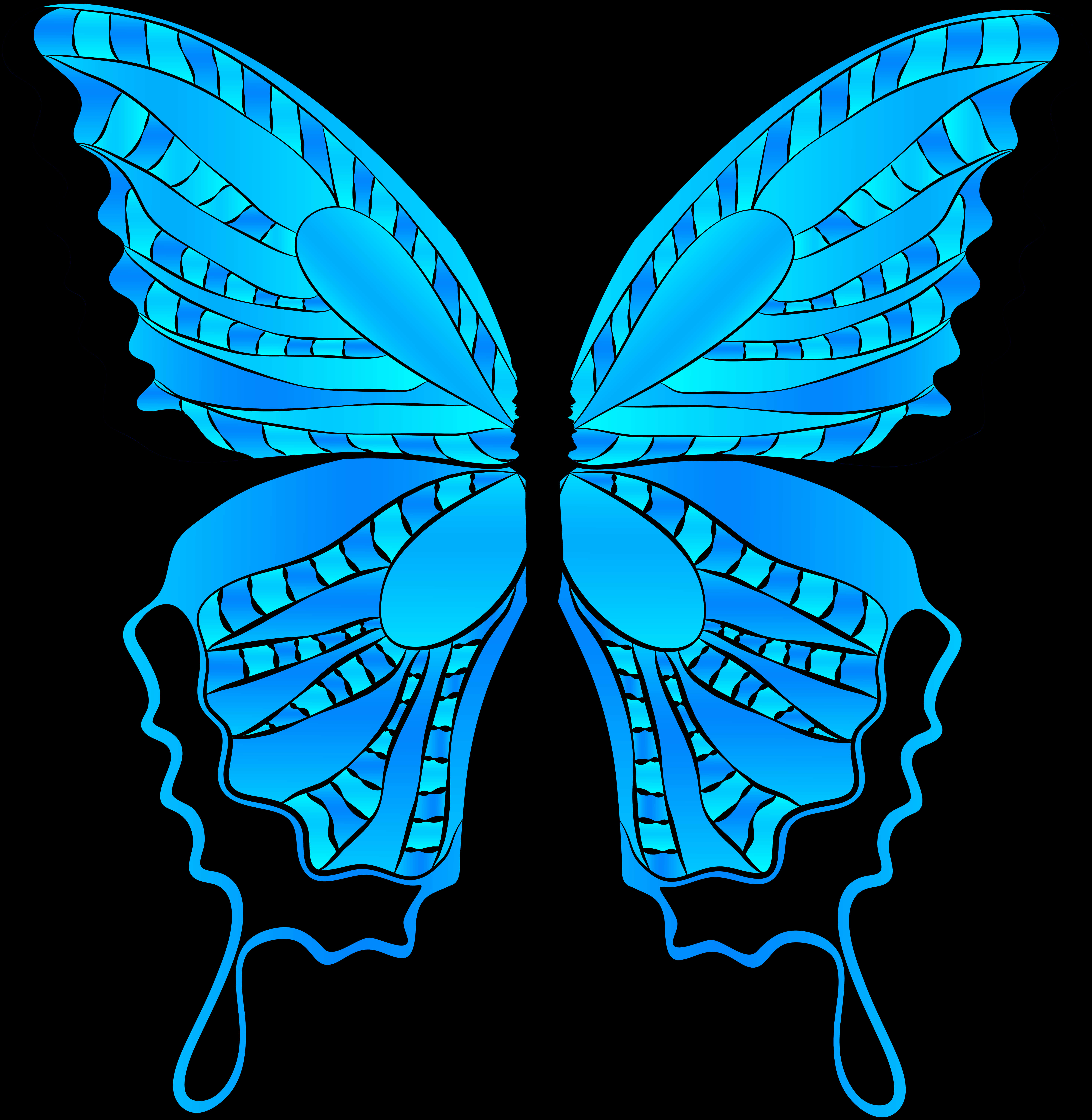 A Blue Butterfly Wings On A Black Background