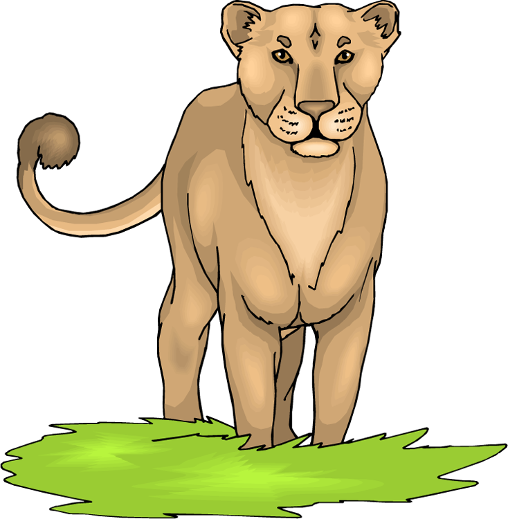 A Lion Standing On Grass