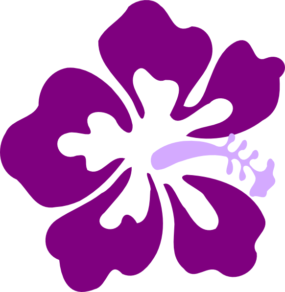 A Purple Flower With A Black Background