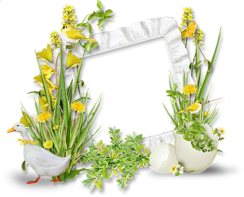 A White Frame With Flowers And Plants Around It