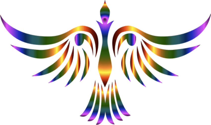 A Colorful Bird With Wings