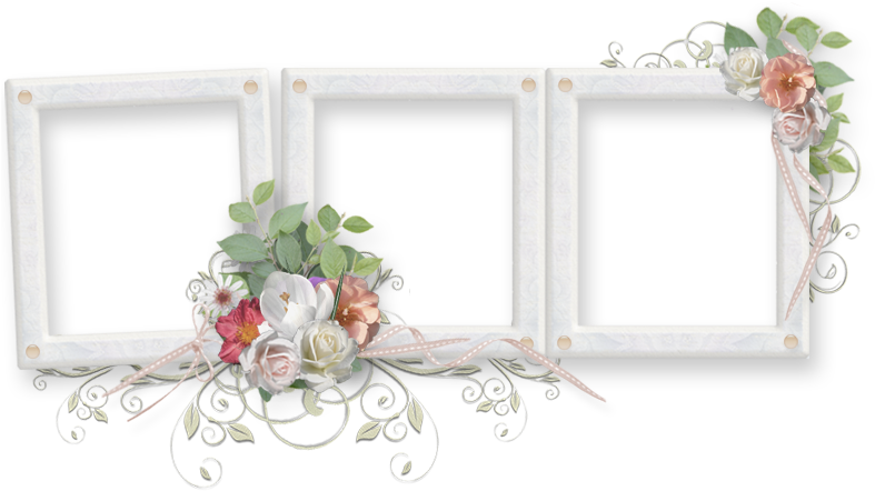 A White Frames With Flowers On It