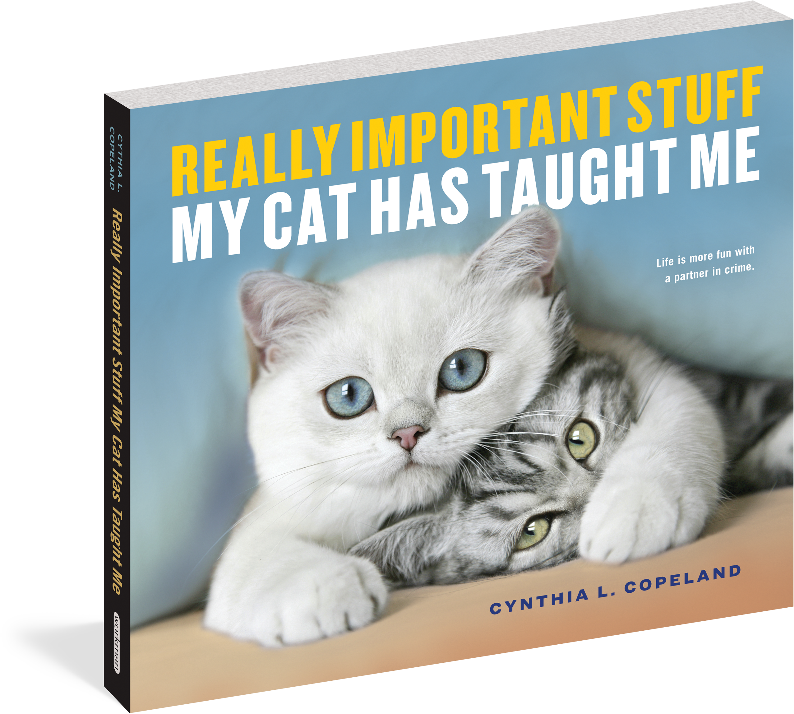 A Book Cover With Two Cats