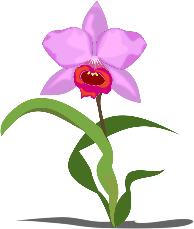 A Purple Flower With Green Leaves
