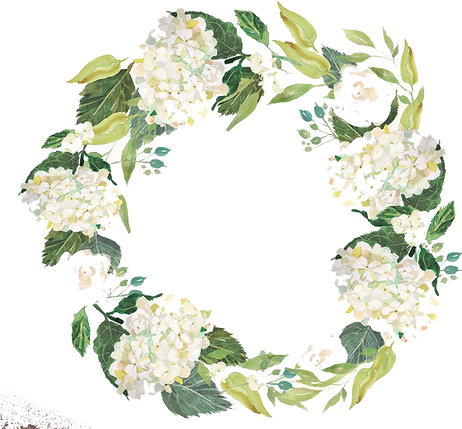 A Wreath Of White Flowers And Leaves