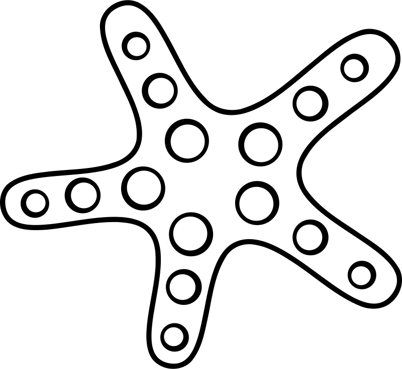 A White Starfish With Black Circles
