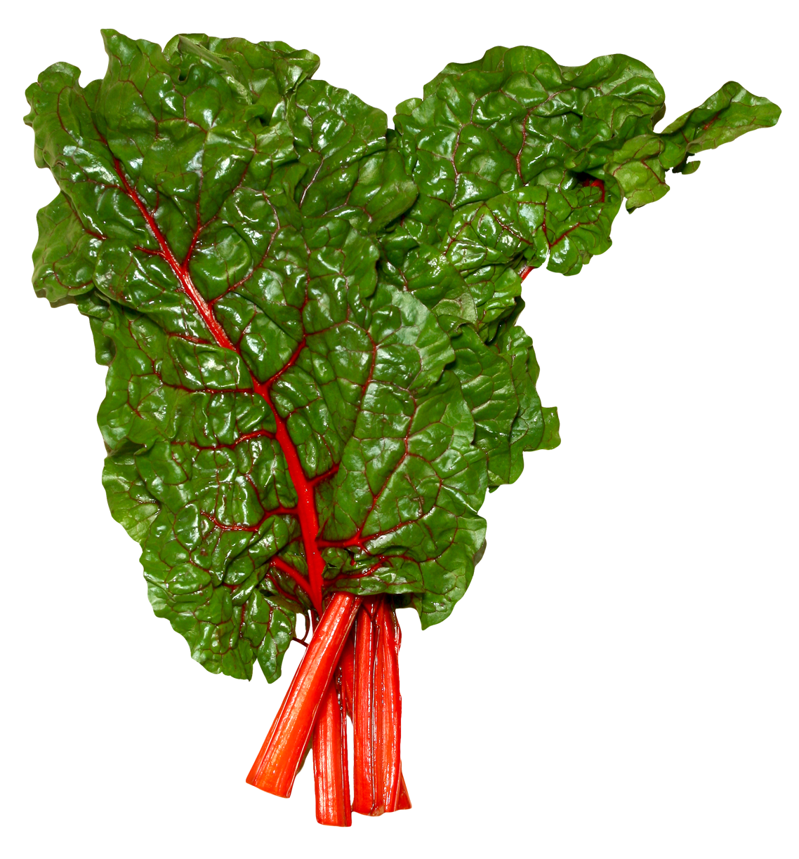 A Leafy Green Leafy Vegetable With Red Veins