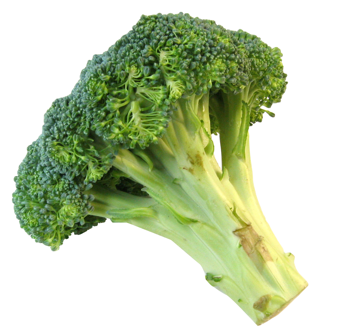 A Broccoli On A Black Background