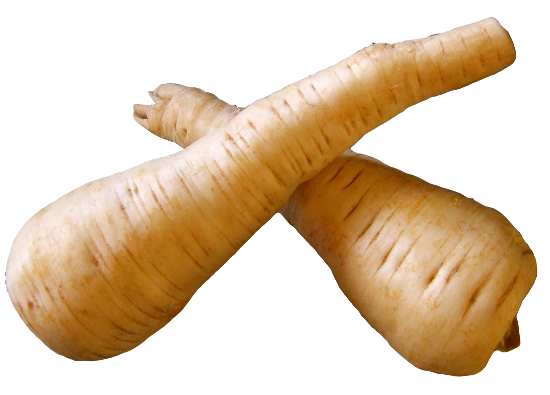 A Pair Of Parsnips On A Black Background