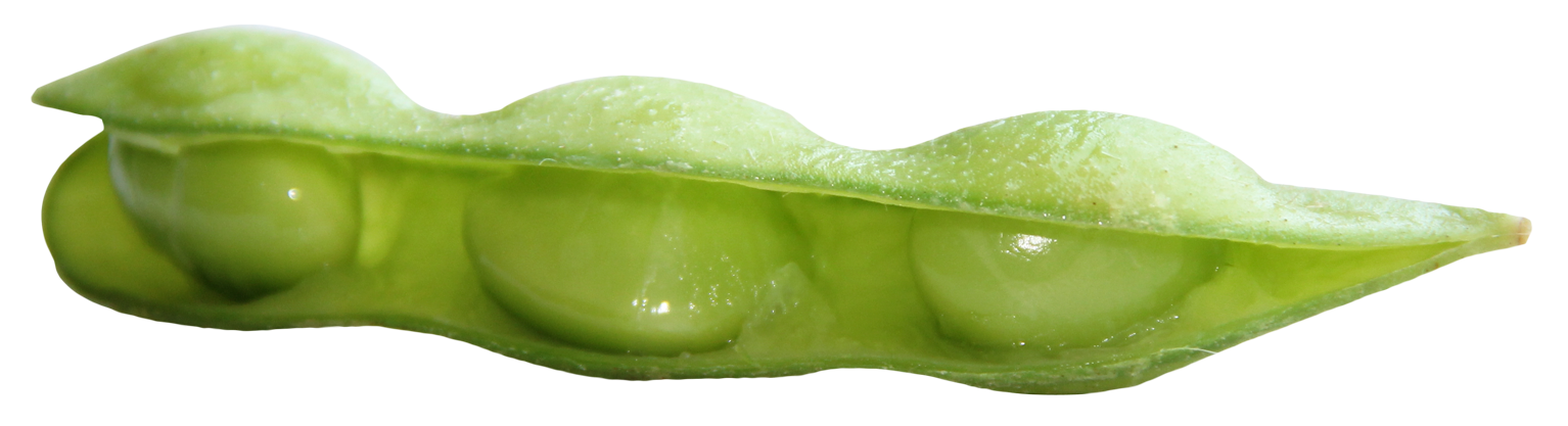 A Close-up Of A Green Bean